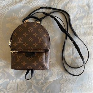 Louis Vuitton Mini Palm Springs